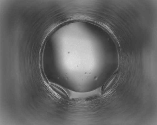 X0000053020799200507221338