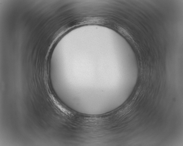 X0000053020800200507221338