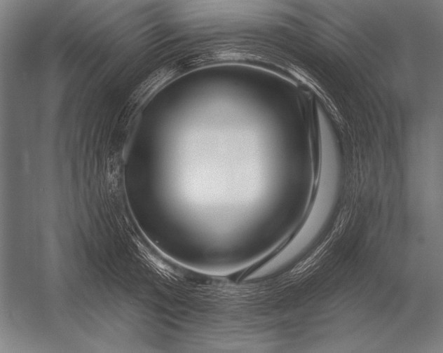 X0000053020801200507221338