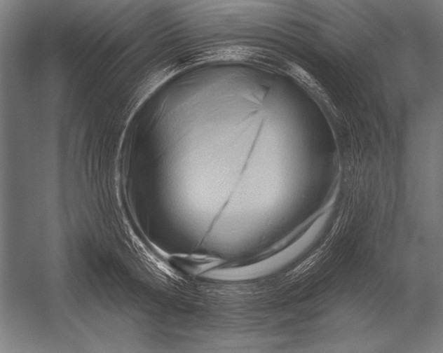 X0000053020802200507221338