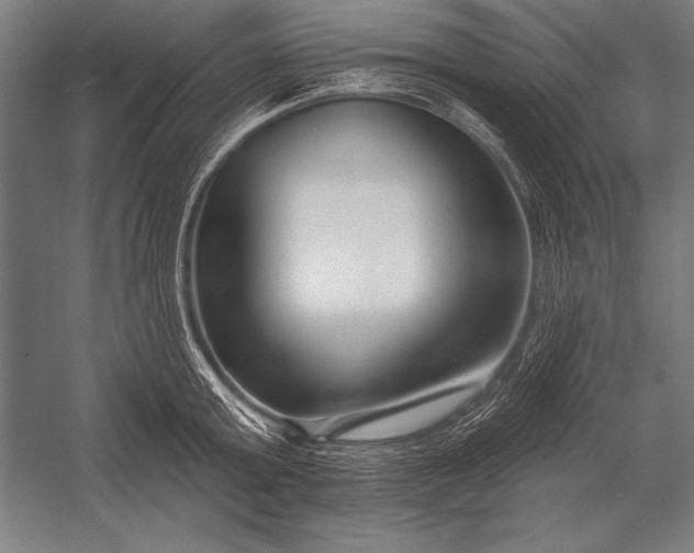 X0000053020803200507221338