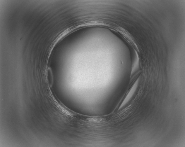 X0000053020805200507221338