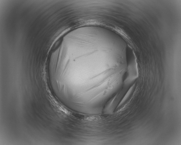 X0000053020806200507221338