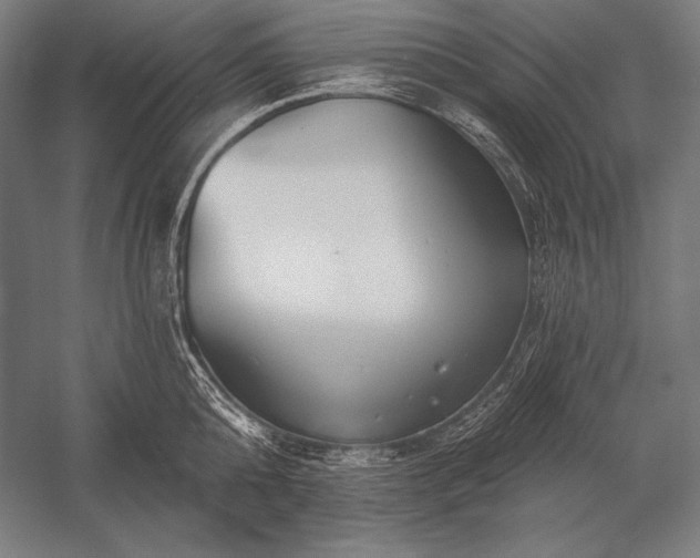 X0000053020808200507221338