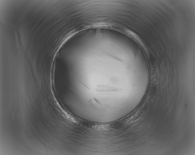 X0000053020810200507221338
