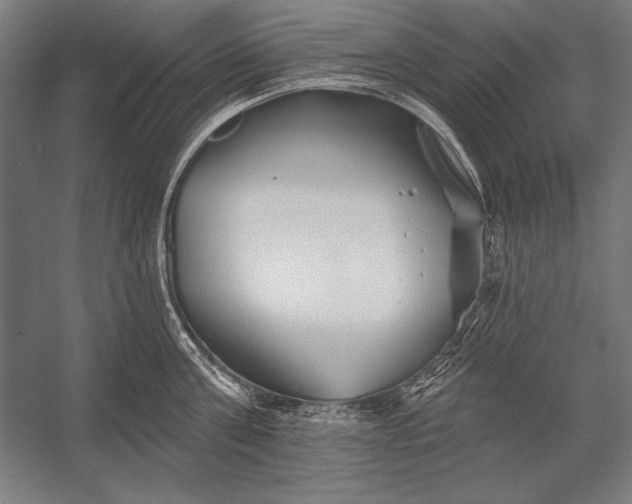 X0000053020811200507221338