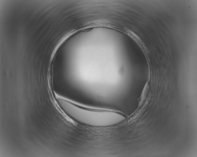 X0000053020812200507221338