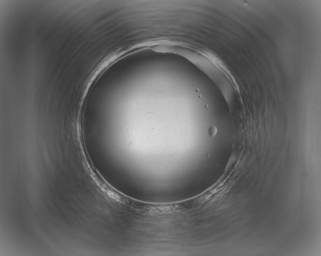 X0000053020813200507221338