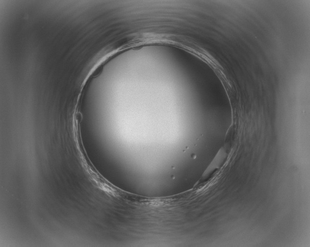 X0000053020814200507221338
