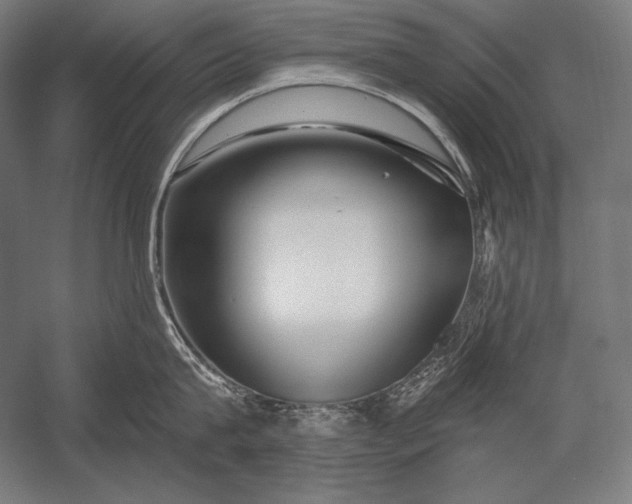 X0000053020815200507221338