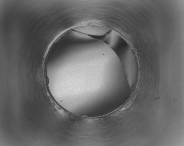 X0000053020816200507221338