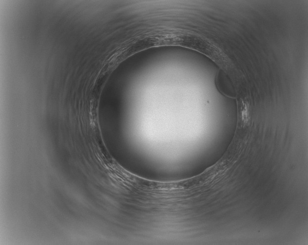 X0000053020819200507221337