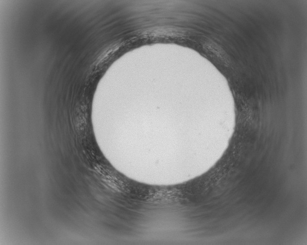 X0000053020824200507221337