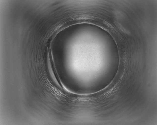 X0000053020825200507221337
