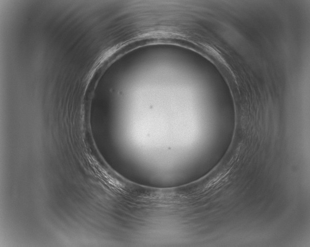 X0000053020831200507221337