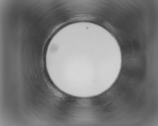 X0000053020836200507221337