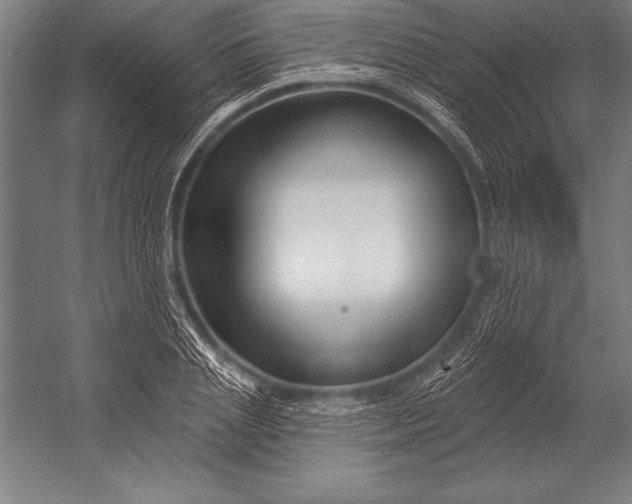 X0000053020837200507221337
