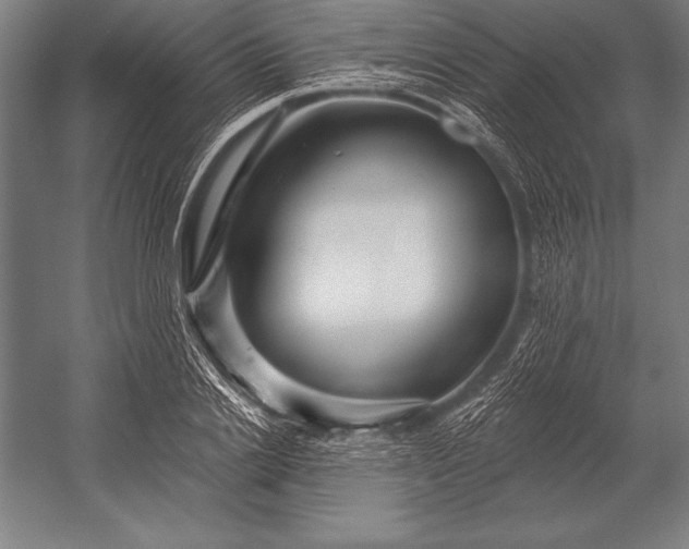 X0000053020838200507221337