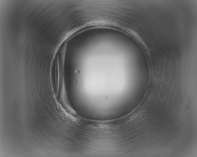 X0000053020839200507221337