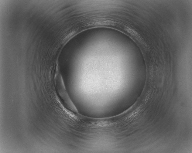 X0000053020841200507221337