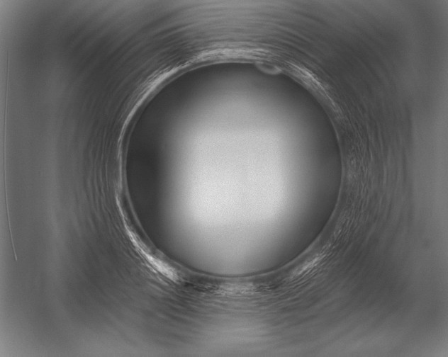 X0000053020844200507221337