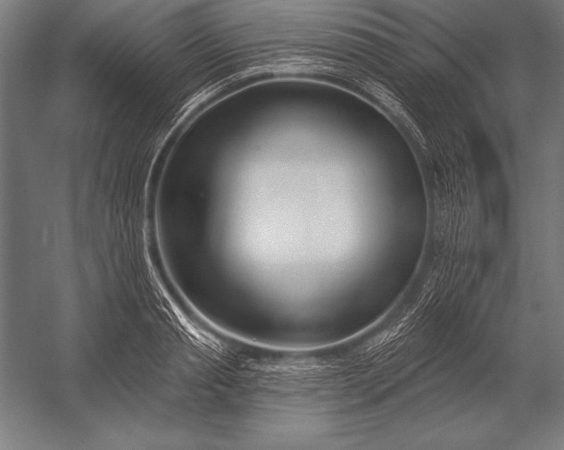 X0000053020845200507221337
