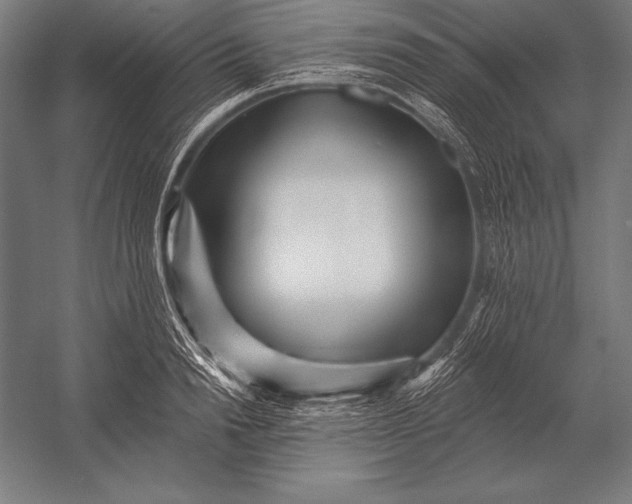 X0000053020846200507221337