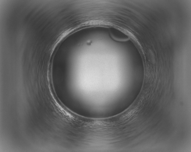 X0000053020847200507221337