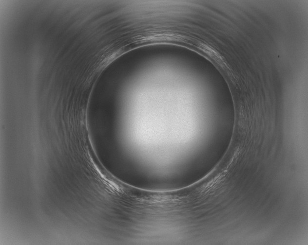 X0000053020849200507221337