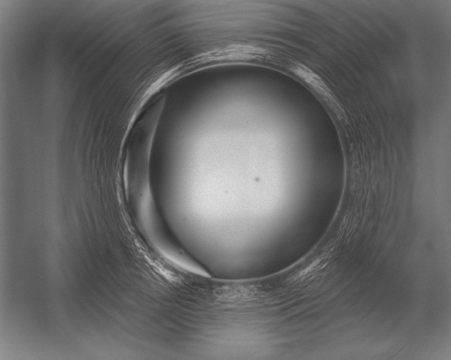 X0000053020850200507221337