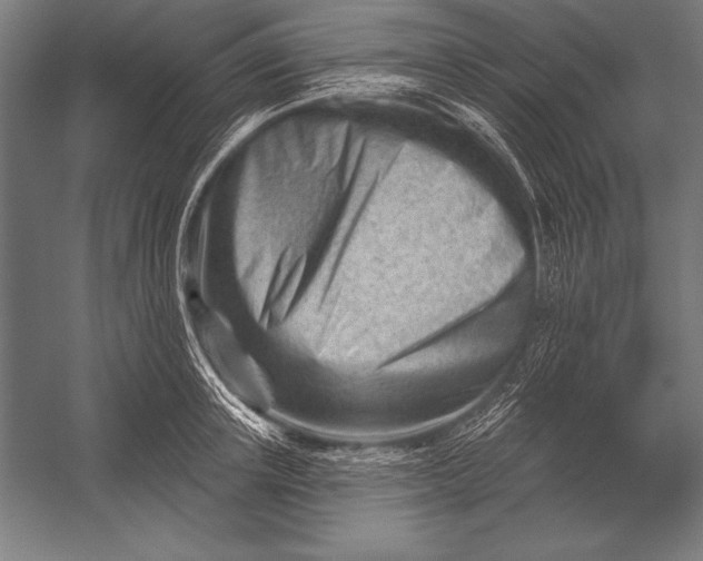 X0000053020851200507221337