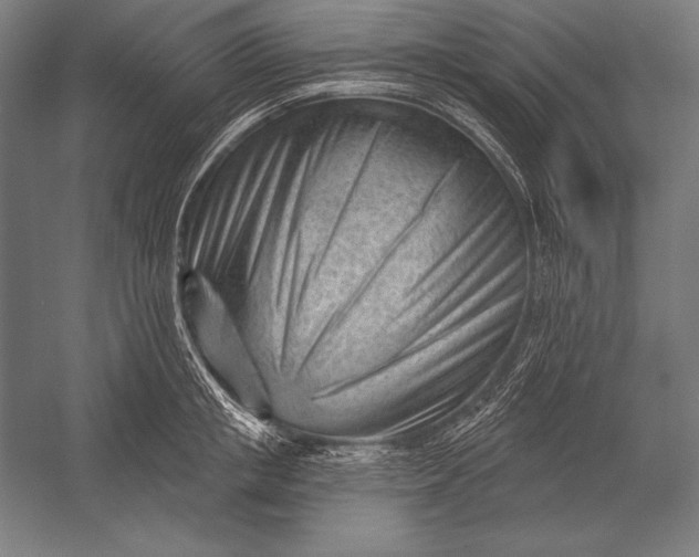 X0000053020853200507221338