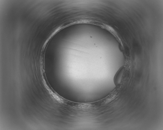 X0000053020859200507221338