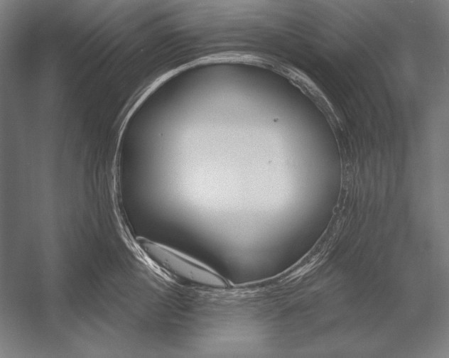 X0000053020860200507221338