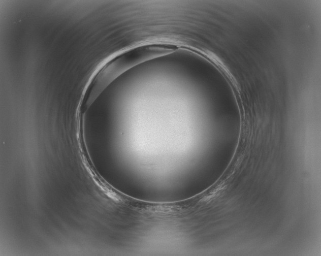 X0000053020862200507221338