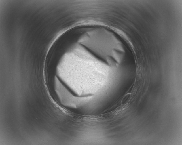 X0000053020863200507221338