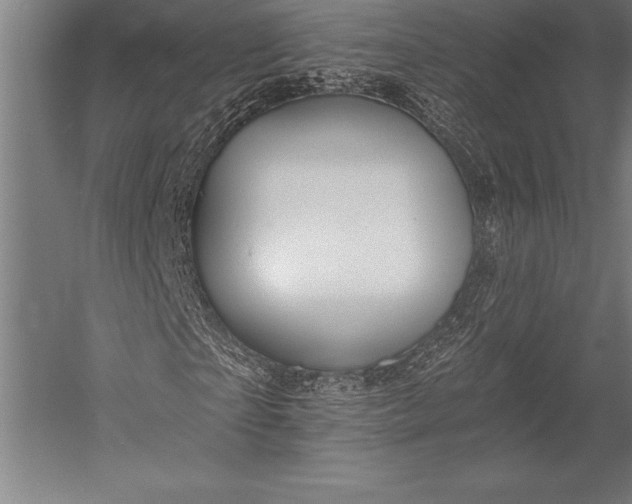 X0000053020865200507221337