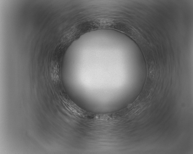 X0000053020866200507221337