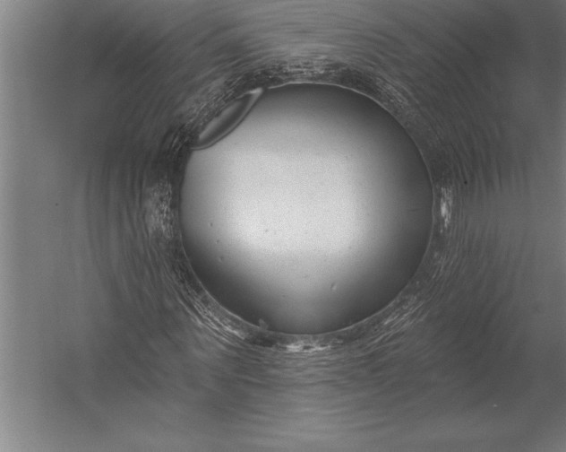 X0000053020867200507221337