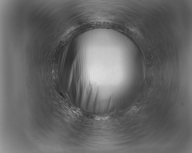 X0000053020870200507221337