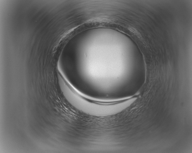 X0000053020872200507221337