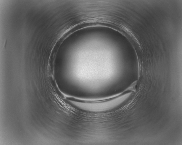X0000053020876200507221337