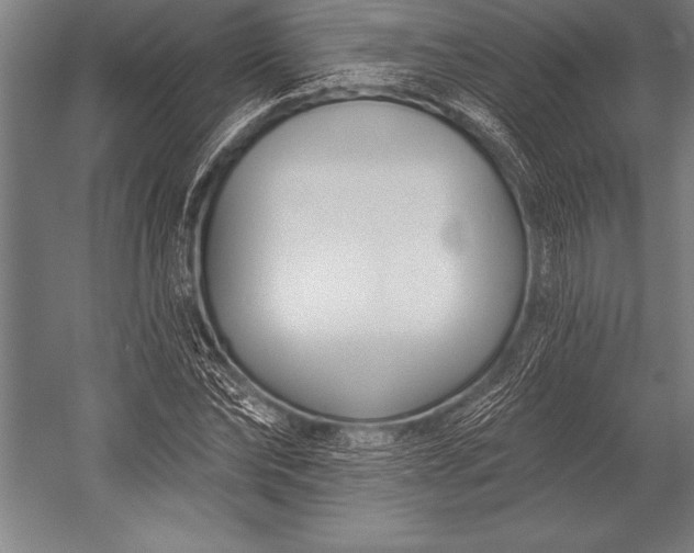X0000053020878200507221337