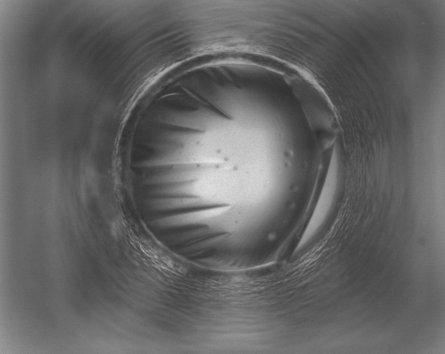X0000053020879200507221337