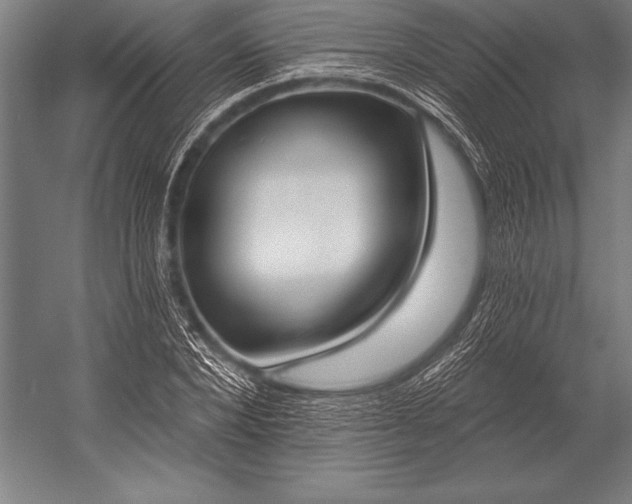 X0000053020880200507221337