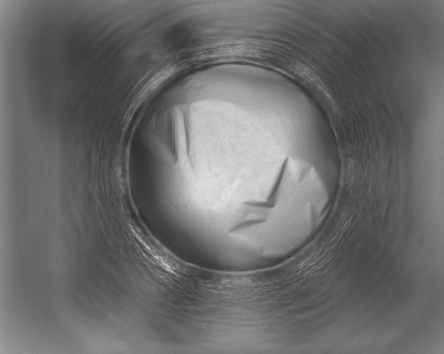 X0000053020882200507221337