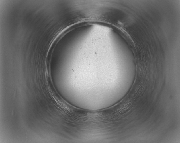 X0000053020887200507221337