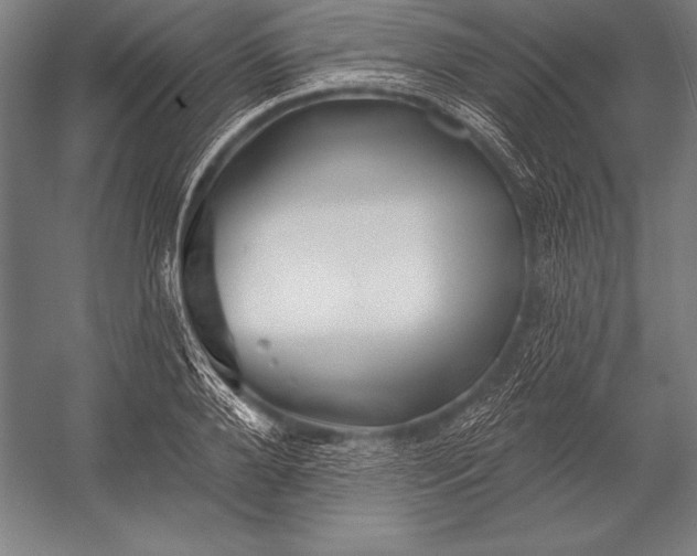 X0000053020888200507221336