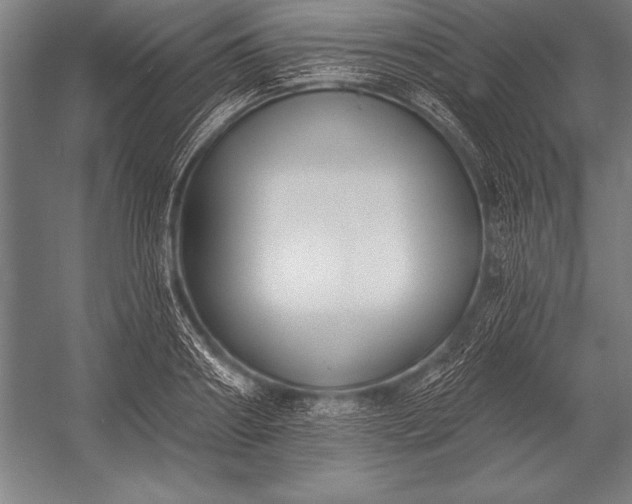 X0000053020890200507221336