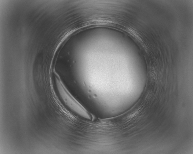 X0000053020891200507221336